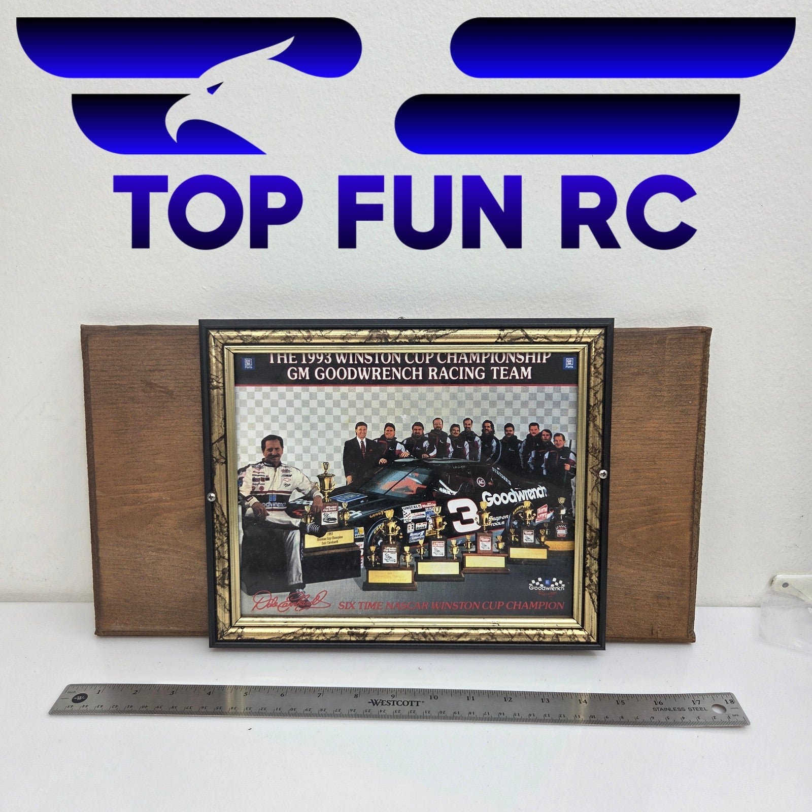Dale Earnhardt 1993 Championship Team Photo 8x10 Framed
